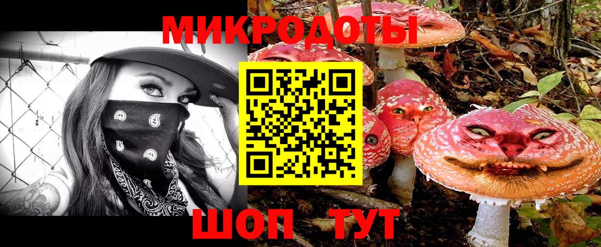 Сорочинск  Псилоцибиновые грибы мухоморы  Вход с VPN 