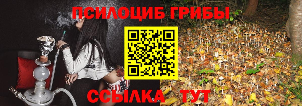 Галлюциногенные грибы мицелий Сорочинск